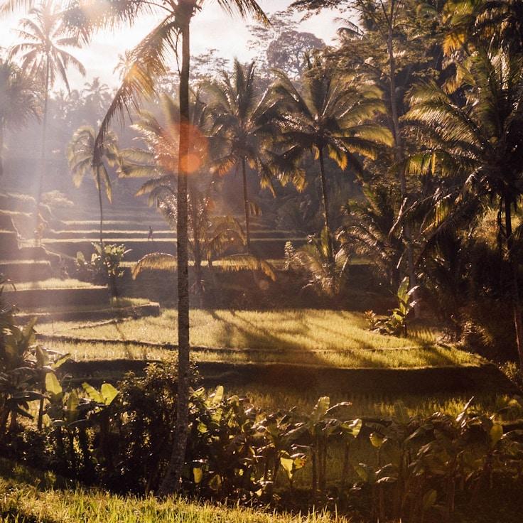 Outdoor terrace seating suitable for families in Zurich